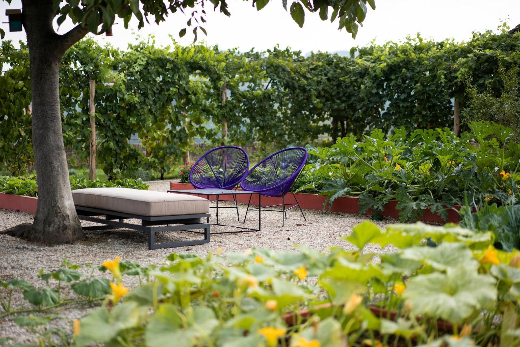 Vigne Di Fagnano 1709 Eco Relais Guest House ซานโตสเตฟาโน เบลโบ ภายนอก รูปภาพ